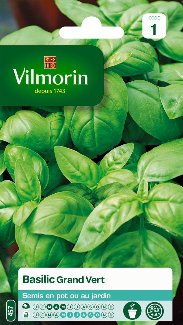 Vilmorin - Basilic grand vert