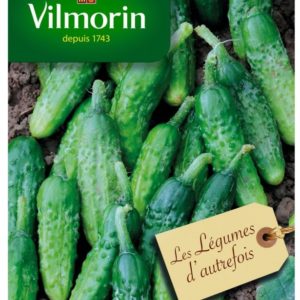 Vilmorin - Cornichon vert petit de paris
