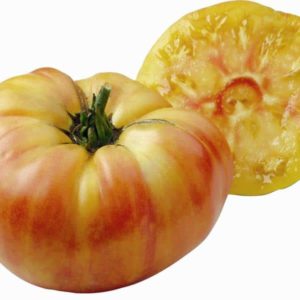 Plant Tomate orange grosse 'Ananas': Pot 10.5cm orange