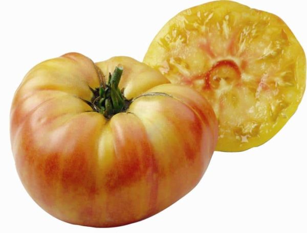 Plant Tomate orange grosse 'Ananas': Pot 10.5cm orange