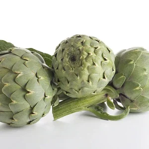 Plant Artichaut 'Lancelot' F1: Pot de 1L