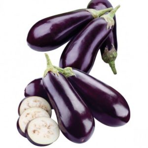 Plant d'Aubergine 'Baluroi' F1 : Godet 7x7x6.2 violet