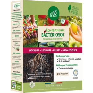 Bactériosol 3 Kg: Universel