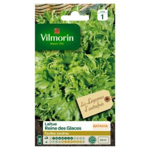 Vilmorin - Laitue batavia reine des glaces