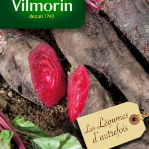 Vilmorin - Betterave rouge crapaudine