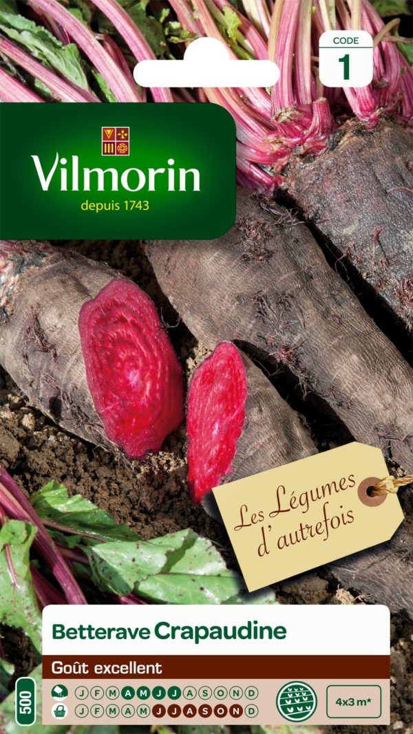 Vilmorin - Betterave rouge crapaudine