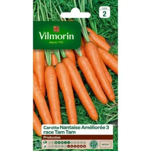 Vilmorin - Carotte nantaise améliorée 3 race tam tam