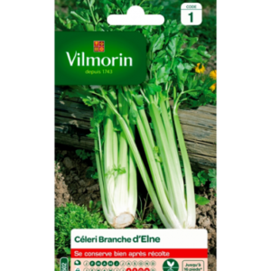 Vilmorin - Celeri branche elne
