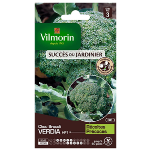 Vilmorin - Chou brocoli verdia hf1
