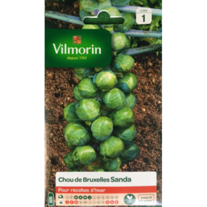 Vilmorin - Chou de bruxelle sanda V