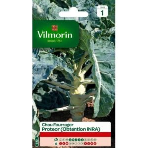 Vilmorin - Chou fourrager protéor