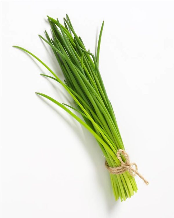Plant Ciboulette: Pot 10.5cm blanc