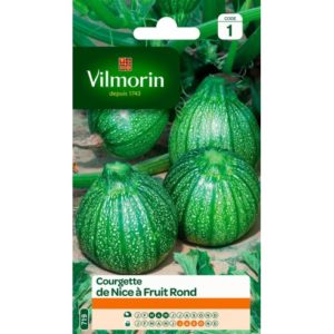 Vilmorin - Courgette de nice à fruit rond