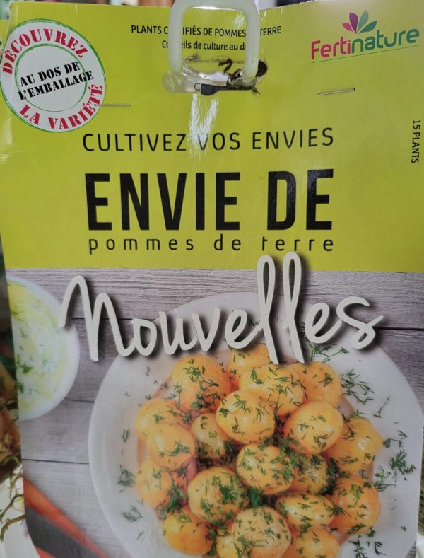 Envie de pomme de terre Nouvelle: 15 plants