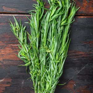 Plant Estragon