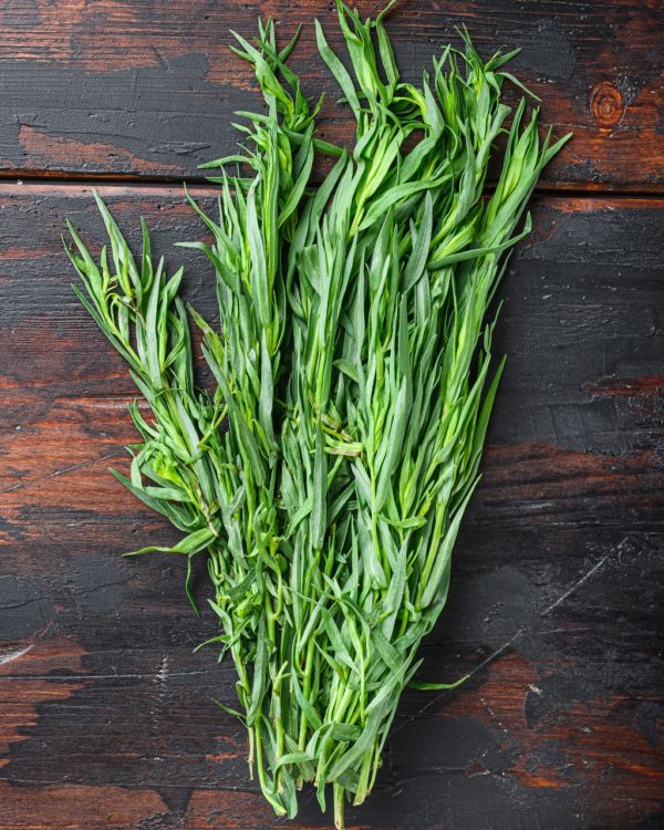 Plant Estragon