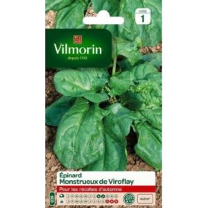 Vilmorin - Epinard monstrueux de viroflay