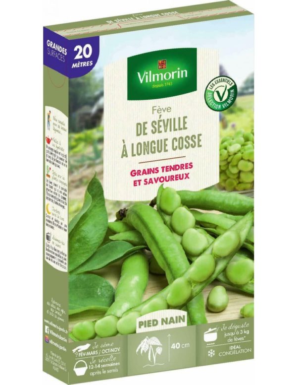 Vilmorin - Fève De séville à longue cosse