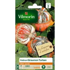 Vilmorin - Potiron giraumon turban