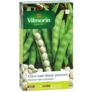 Vilmorin - Haricot nain Coco nain blanc précoce