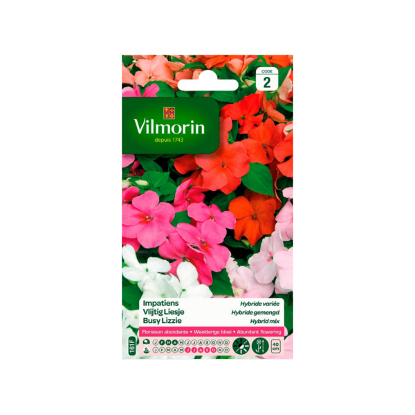 Vilmorin - Impatiens hybride