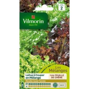 Vilmorin - Laitue à couper en mélange feuille de chêne