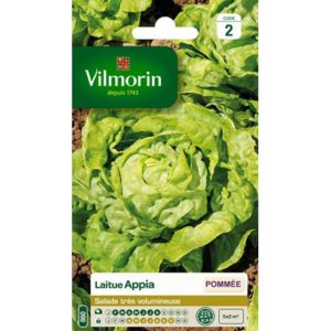 Vilmorin - Laitue appia