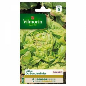 Vilmorin - Laitue du bon jardinier