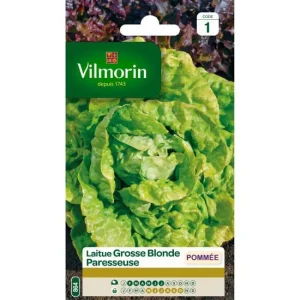 Vilmorin - Laitue pommée Grosse blonde paresseuse