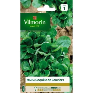 Vilmorin - Mâche verte de louviers