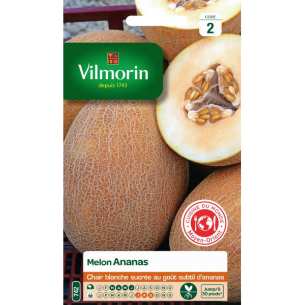 Vilmorin - Melon ananas