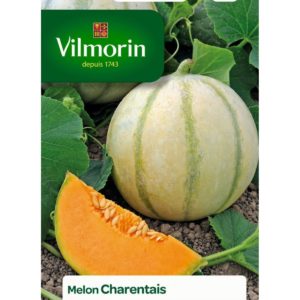 Vilmorin - Melon charentais