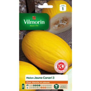 Vilmorin - Melon jaune canari 3