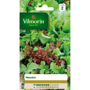 Vilmorin - Mesclun