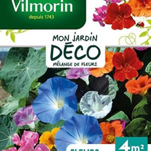 Vilmorin - Fleurs grimpantes