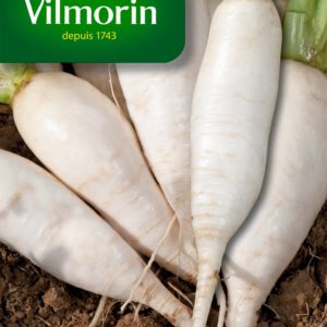 Vilmorin - Navet de croissy