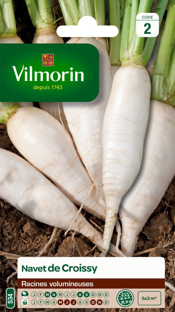 Vilmorin - Navet de croissy