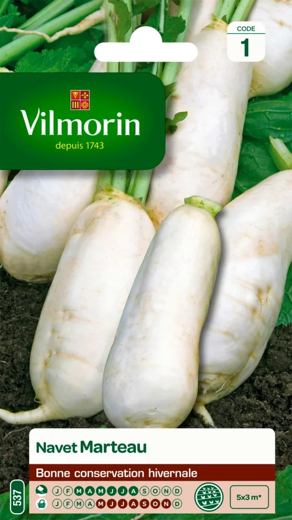 Vilmorin - Navet marteau