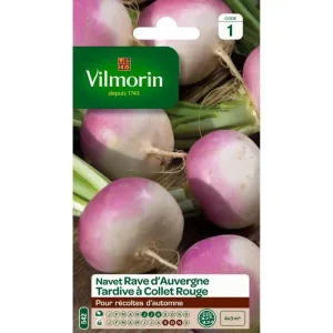 Vilmorin - Navet rave d'auvergne tardif