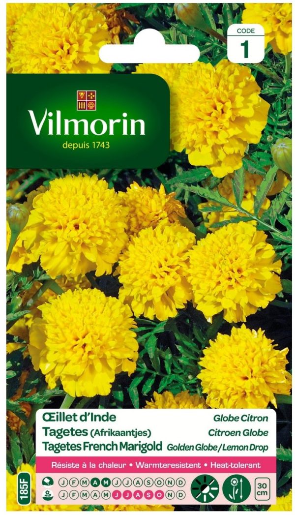 Vilmorin - Œillet d'inde globe citron