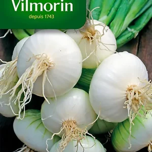 Vilmorin - Oignon blanc de paris