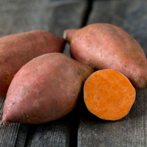 Plant Patate douce orange 'Evangelina' F1: Pot 10.5cm