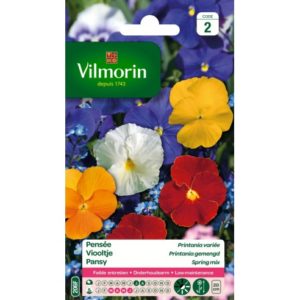 Vilmorin - pensée printania
