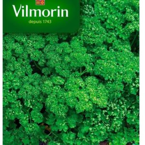 Vilmorin - Persil frisée vert