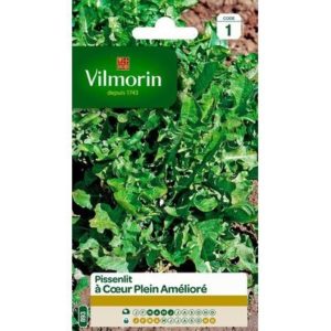 Vilmorin - Pissenlit à cœur plein amélioré