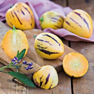 Plant Poire melon 'Copa' F1: Pot 10.5 blanc
