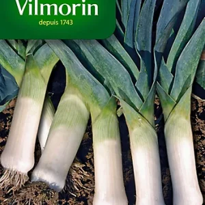 Vilmorin - Poireau bleu de solaise