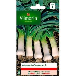 Vilmorin - Poireau de carentan 2