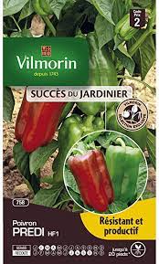 Vilmorin - Poivron predi