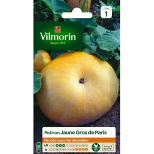 Vilmorin - Potiron jaune gros de paris